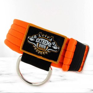softshell neon orange dog collar
