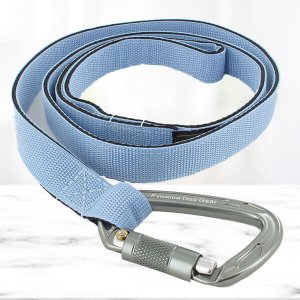Pastel Blue Nylon Dog Leash Extreme Dog Gear