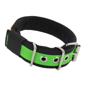 apple green dog collar 1.6 inch
