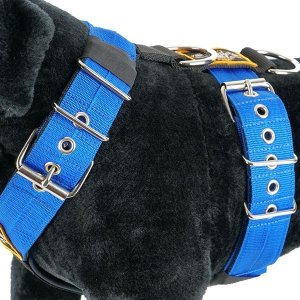 Dog harness 5cm blue by extreme dog gear