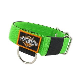 turquoise1.6 inch dog collar heavy duty