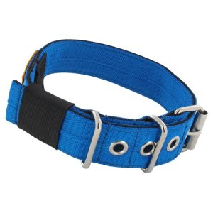Heavy duty canine collar blue