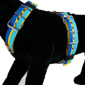 Custom Dog Sport harness Blue Yellow Turquoise