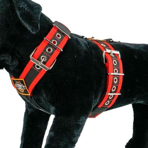hand made custom Dog Sport harness Amsterdam