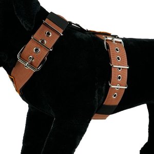 Custom dog harness Camel extreme dog gear