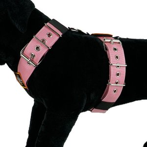 Flamingo color dog harness by extreme dog gear