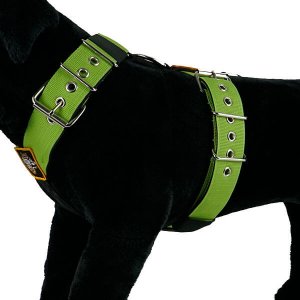 Pistachio color dog harness by extreme dog gear