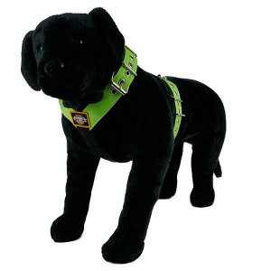 special padded custom color pistachio nylon Y-shape 1.6 inch width Sport Harness
