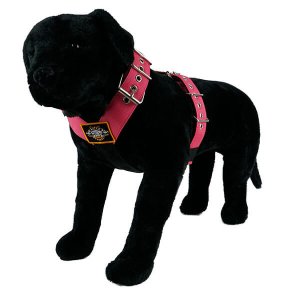Water Melon color dog harness by extreme dog gear