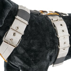 Dog harness 5cm grey by extreme dog gear