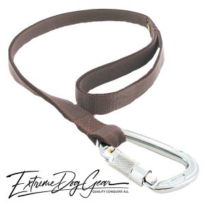 strong dog leash brown lead