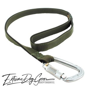 strong dog leash olive green lead