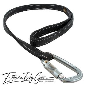 reflective dog leash black lead