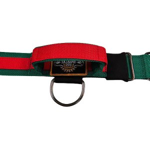 Fashion Green Red dog collar