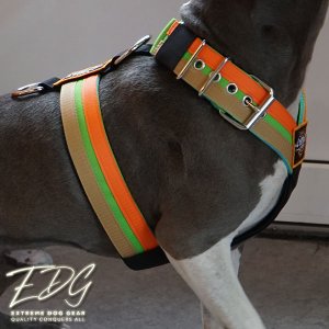 Custom dog harness 2 inch happy by extreme dog gear