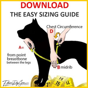 dog harness sizing guide extreme dog gear