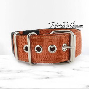copper brown color dog collar