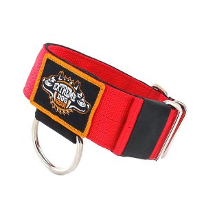 dog collar red nylon heavy duty 2 inch width 5cm