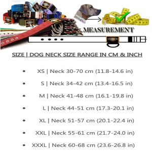 dog collar neck measurement sizing scheme