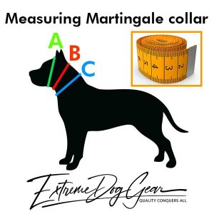 martingale dog collar measuring