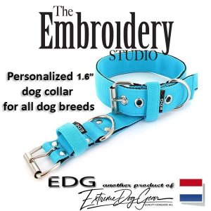 EDG dog collar personalized 1.6 inch turquoise