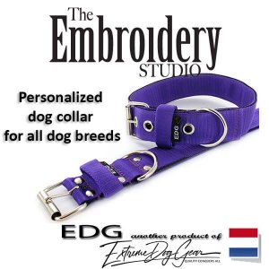 Purple Standard or Personalized Embroidered Dog Collar 2 inch - 5cm