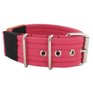 Raspberry Softshell Dog Collar