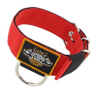 dog collar red nylon heavy duty 2 inch width 5cm