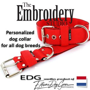 Tomato Red Standard or Personalized Embroidered Dog Collar 2 inch - 5cm