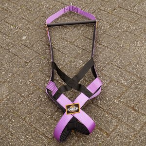 weight pull harness purple