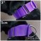 2 inch martingale collar large breed