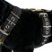 Custom dog harness 5cm reflective black by extreme dog gear