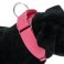 Adjustable K9 Elite Martingale collar with quick release