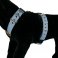 Custom dog harness 1.6 inch Pastel Blue by extreme dog gear