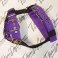 Purple color dog harness by extreme dog gear
