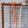 dog rope leash orange