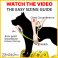 Video dog harness sizing