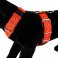 Dog harness 5cm red by extreme dog gear