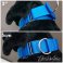 blue Martingale Dog Collar 2 inch