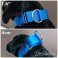 blue Martingale Dog Collar