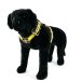 Custom dog harness 2 inch black yellow by extreme dog gear