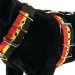 Custom dog harness 2 inch red yellow black by extreme dog gear