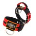 Double Red custom dog collar 2 inch 5cm with handle extreme dog gear