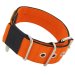 heavy duty dog collar 5cm