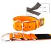 orange seat belt kennel keeper dog collar