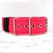 softshell neon pink extreme dog collar