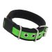 apple green dog collar 1.6 inch