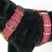 Dog harness 5cm bordeaux by extreme dog gear