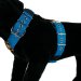 black double stripe grey color dog harness by extreme dog gear