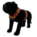 Copper Brown color dog harness by extreme dog gear